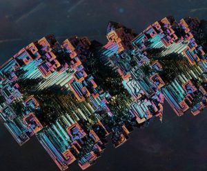 Rotten Roots: Stellar